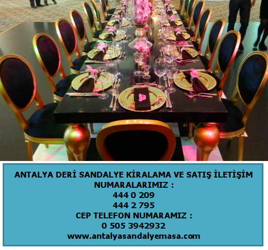 antalya kiralık deri sandalye